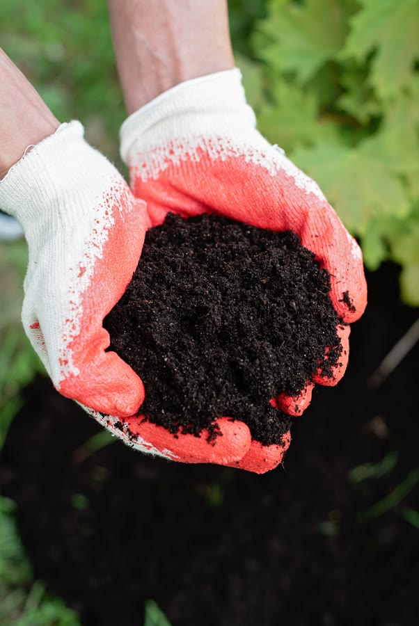 Coffee grounds composting with a community garden partner